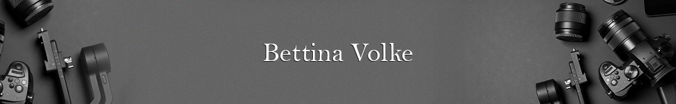 Main banner logo
